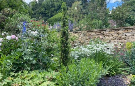 Private arboretum and gardens, the Cotswolds