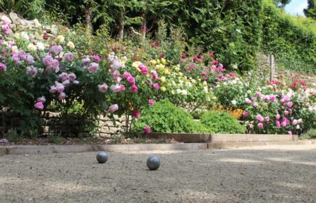 Petanque court rose garden design