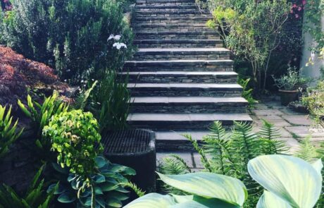 planting garden design ideas