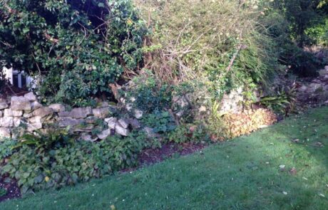garden design ideas trees
