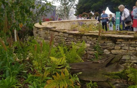 Trail of thought - RHS Tatton park