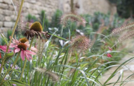 Large Garden Design and Build Project the Cotswolds